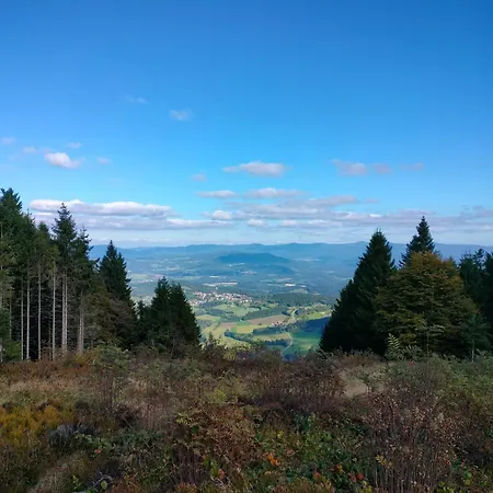 Sylva Lägenhet Sankt Englmar